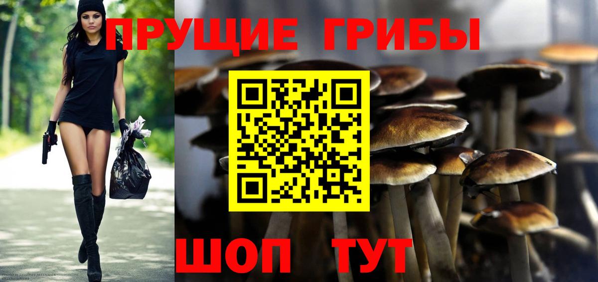 Псилоцибиновые грибы Cubensis Усть-Лабинск